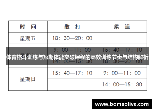体育格斗训练与短期体能突破课程的高效训练节奏与结构解析