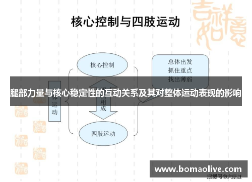 腿部力量与核心稳定性的互动关系及其对整体运动表现的影响